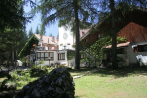 Отель Albergo Paradiso, Пескассероли